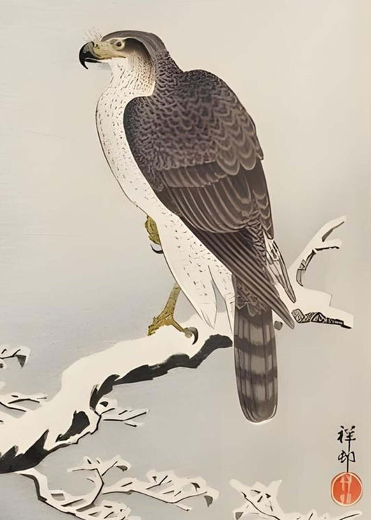 Silent Vigil — Japanese Falcon Ink Wall Art