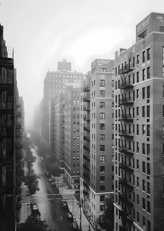 The Bronx in Black and White