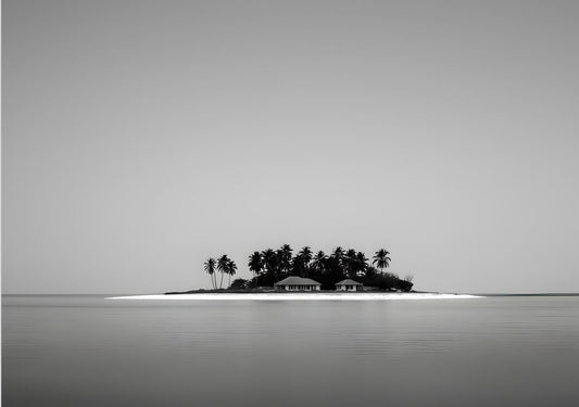Minimalist Black and White Tropical Island