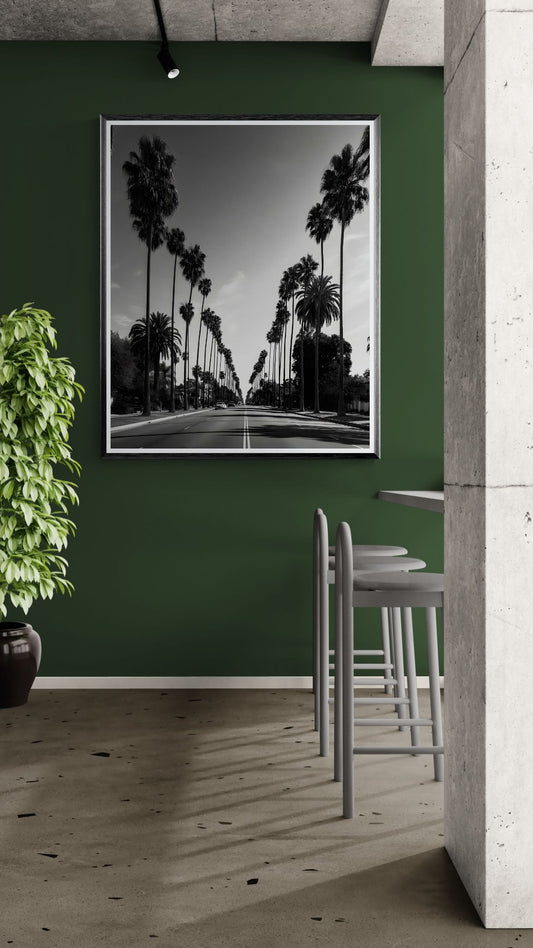 South Central Los Angeles Palm Street – Black and White