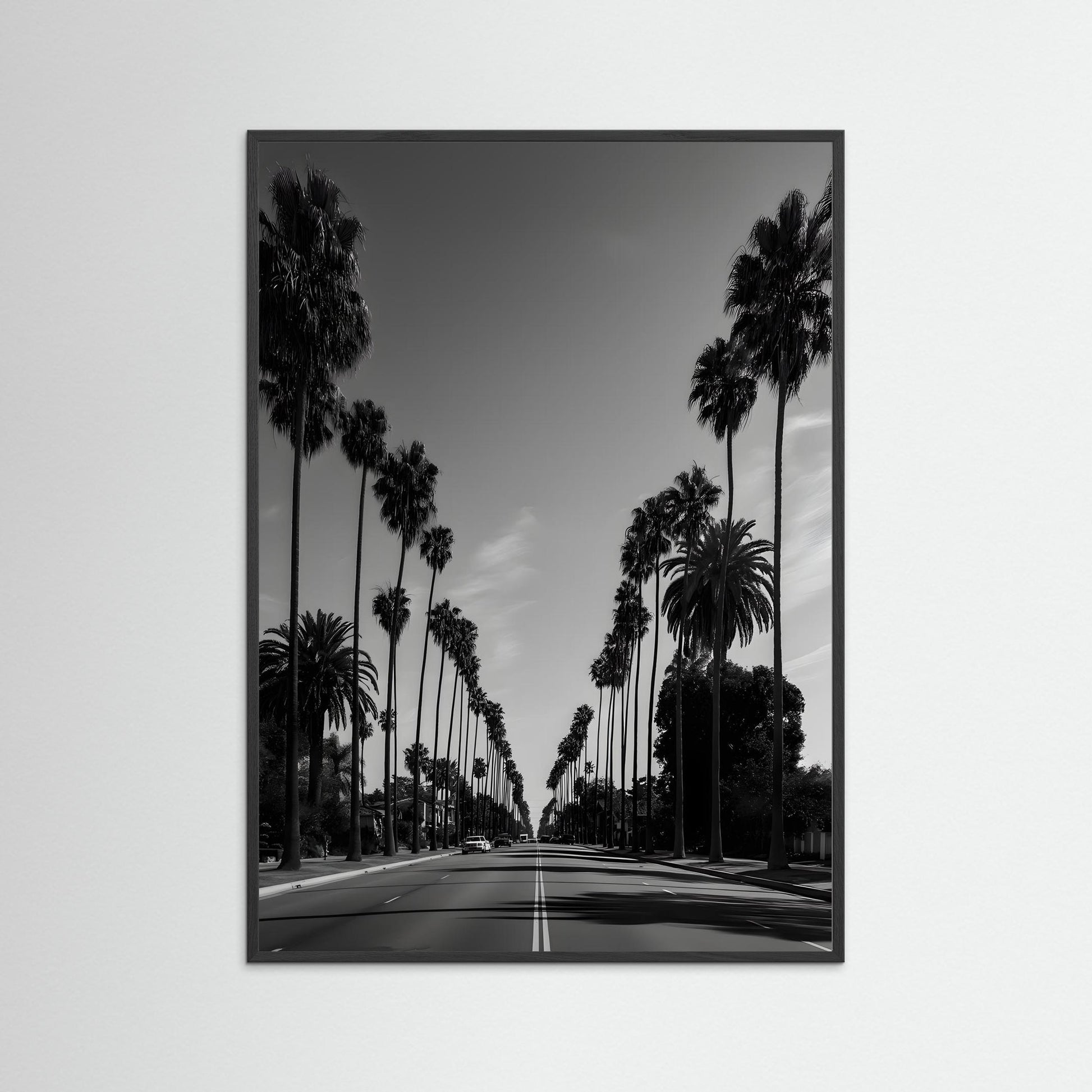 South Central Los Angeles Palm Street – Black and White