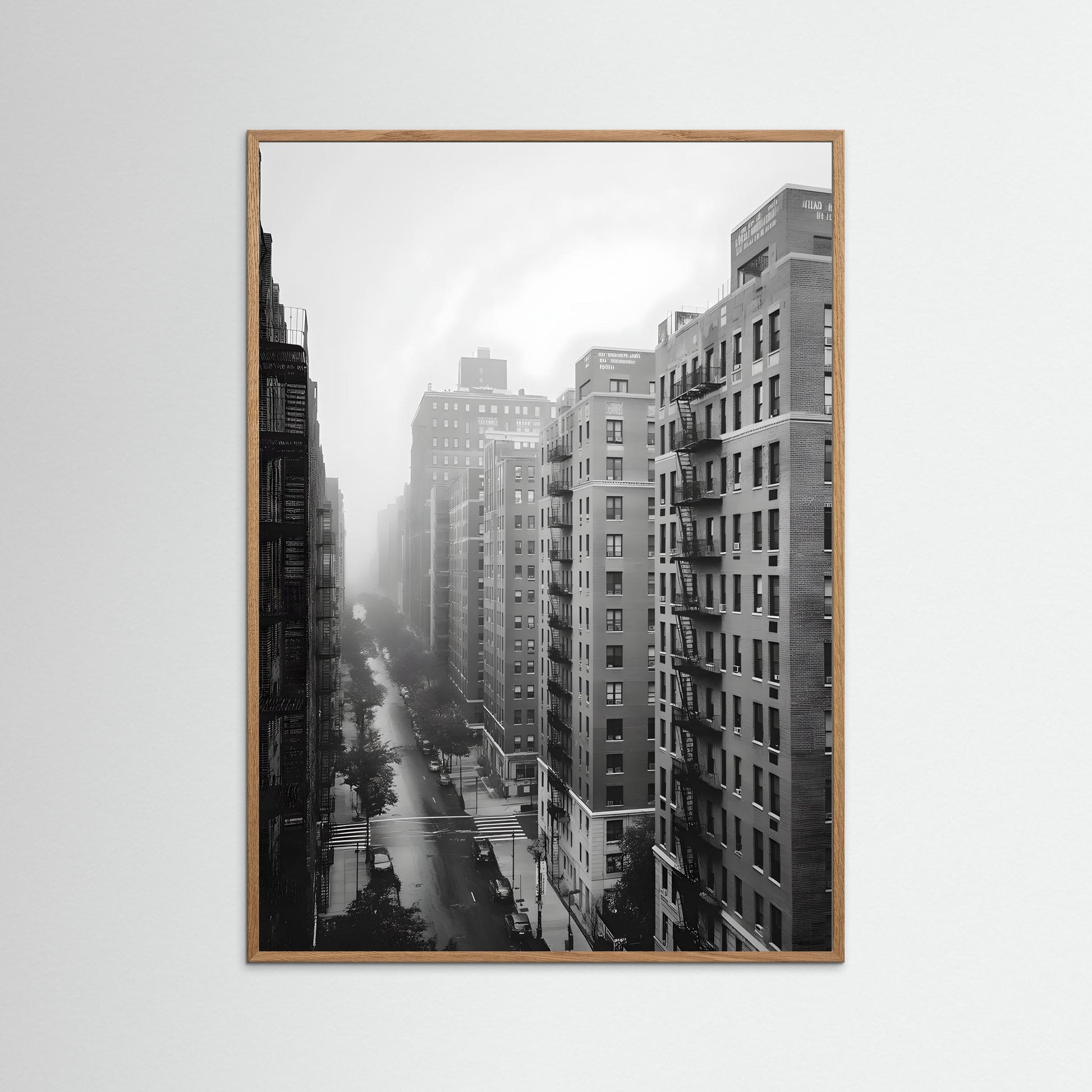 The Bronx in Black and White