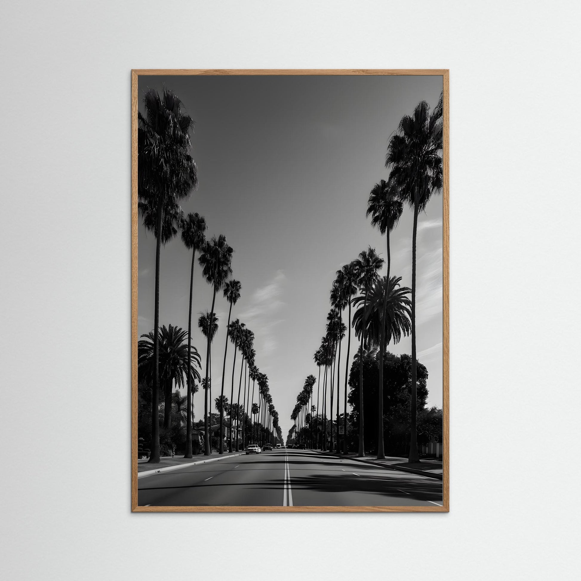 South Central Los Angeles Palm Street – Black and White